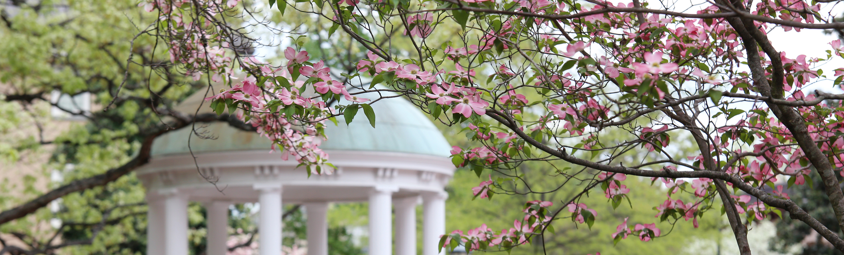 Spring views at the University of North Carolina at Chapel Hill. Courtesy of UNC - Chapel Hill